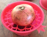 Pomegranate Tool Pom Face Down
